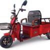 Electric Small Crago Tricycle E5
