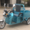 Cargo Tricycle E21