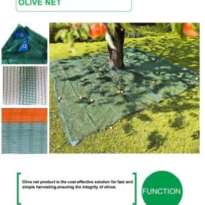 OLIVE NET