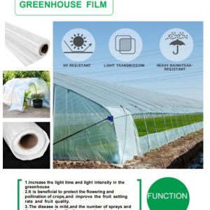 GREENHOUSE FILM