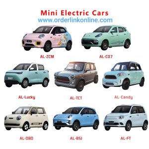 EEC certified high-quality Electric Vehicles