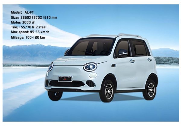 EEC certified high-quality Electric Vehicles - Image 5