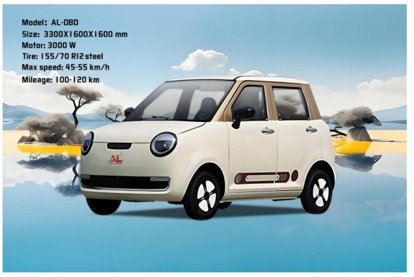 EEC certified high-quality Electric Vehicles - Image 9