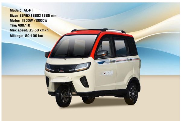 EEC certified high-quality Electric Vehicles - Image 21
