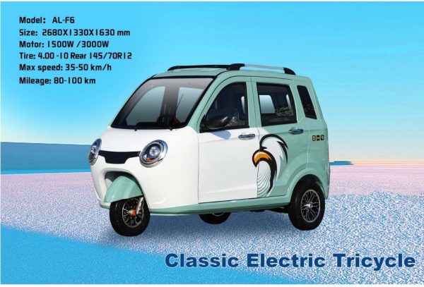EEC certified high-quality Electric Vehicles - Image 24