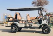 4-Seater and 6-Seater Electric Off-Road Buggies