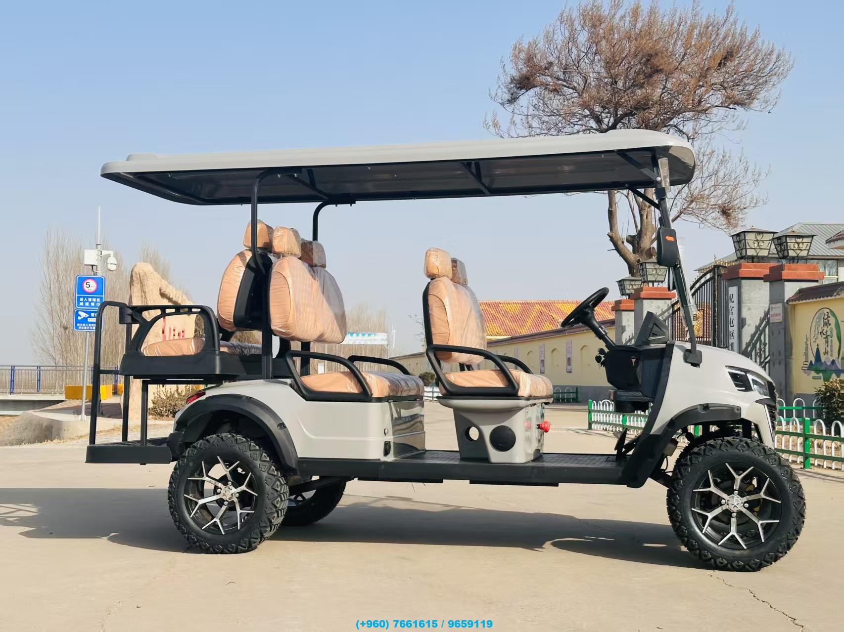 4-Seater and 6-Seater Electric Off-Road Buggies