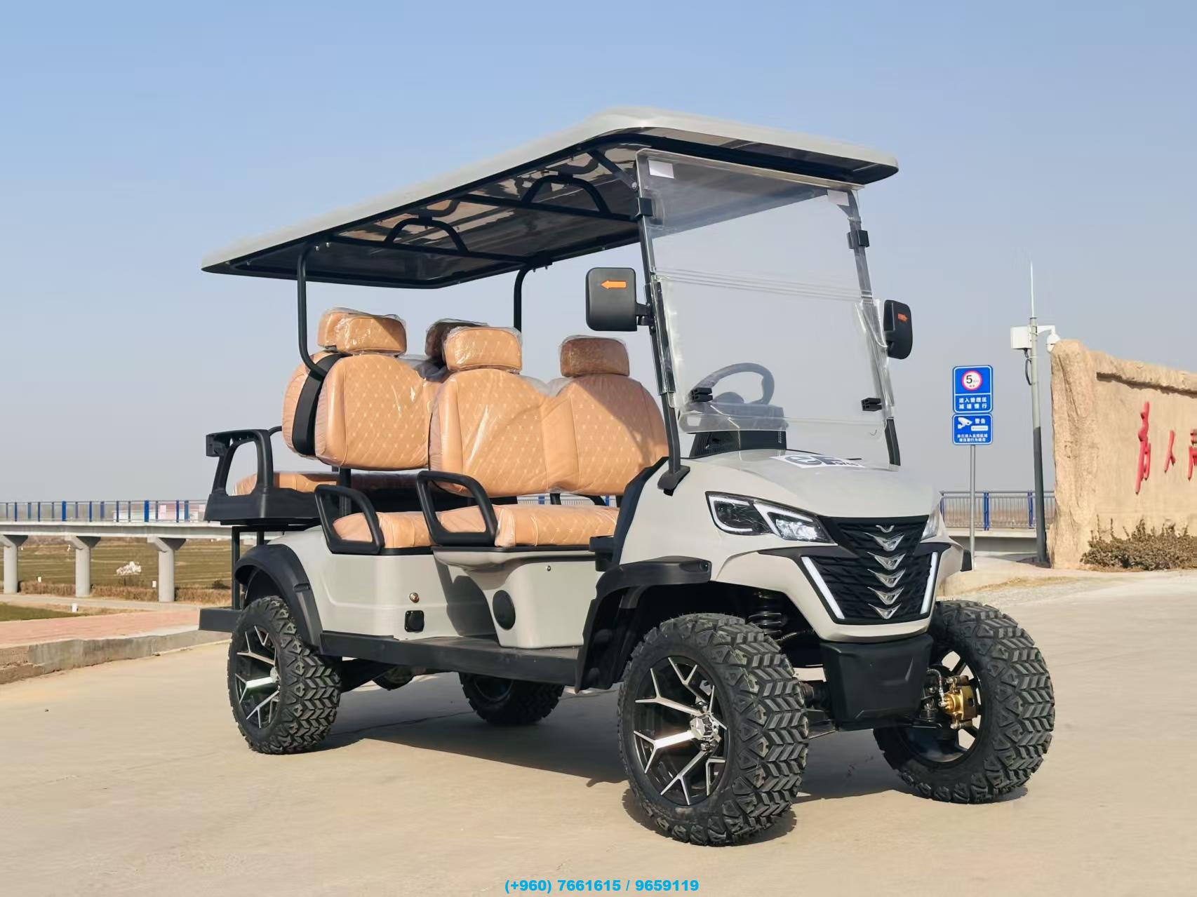 4-Seater and 6-Seater Electric Off-Road Buggies