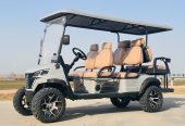 4-Seater and 6-Seater Electric Off-Road Buggies