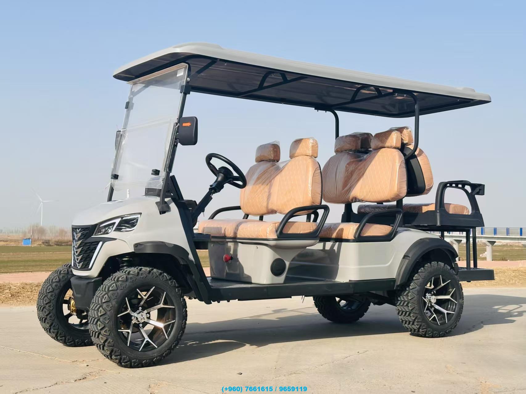 4-Seater and 6-Seater Electric Off-Road Buggies