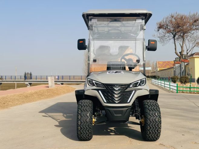 4-Seater and 6-Seater Electric Off-Road Buggies
