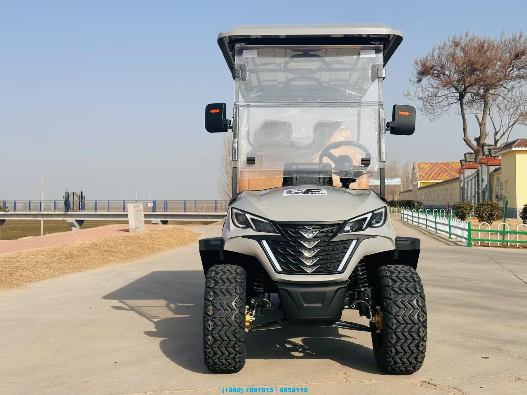 4-Seater and 6-Seater Electric Off-Road Buggies