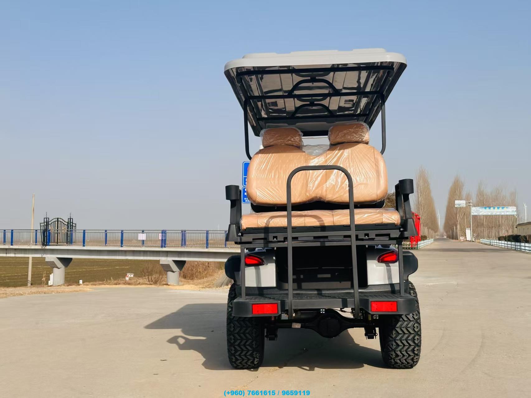 4-Seater and 6-Seater Electric Off-Road Buggies