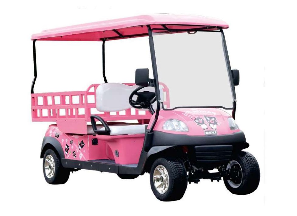 2-Seater Electric Utility Carrier Versatile Transport Solution for Commercial & Industrial Applications