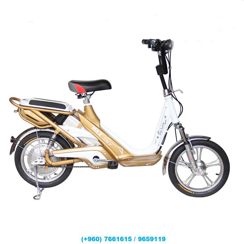 Electric Bikes for Orders Only – Wide Range of Models!  WhatsApp/Viber: 9659119 / 7661615