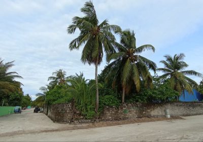 IMG-9d410eb205da6f0cf43699de0bd3790e-V