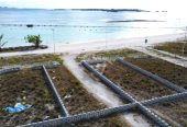 Beachfront Lands(3) for Sale – K. Himmafushi Secure a premium beachfront plot in one of the Maldives’
